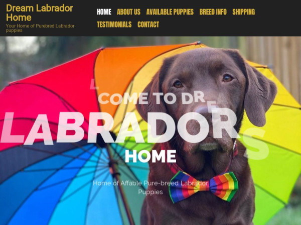 Dreamlabradorhome.com - Labrador Puppy Scam Review