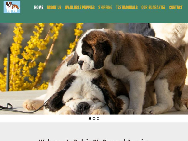 Dulciestbernards.com - Saint Bernard Puppy Scam Review