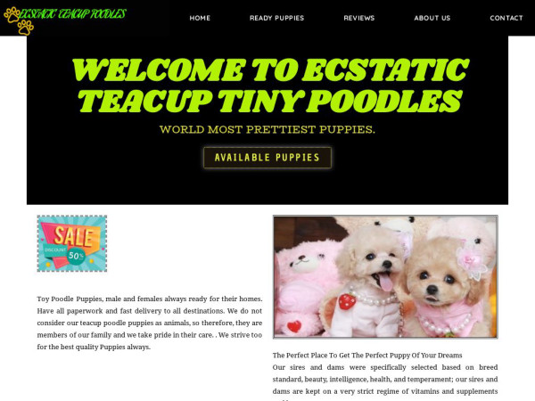 Ecstaticteacuppoodles.com - Poodle Puppy Scam Review