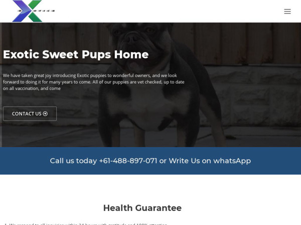 Exoticsweetpupshome.com - Australian Shepherd Puppy Scam Review