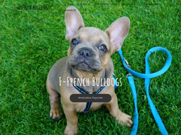 F-frenchbulldogs.com - French Bulldog Puppy Scam Review