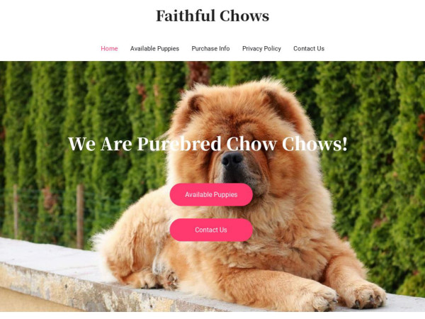 Faithfulchows.com - Chowchow Puppy Scam Review