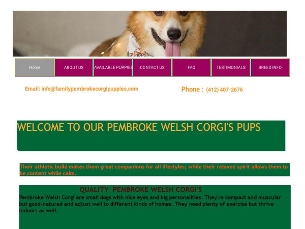 Familypembrokecorgipuppies.com - Corgi Puppy Scam Review