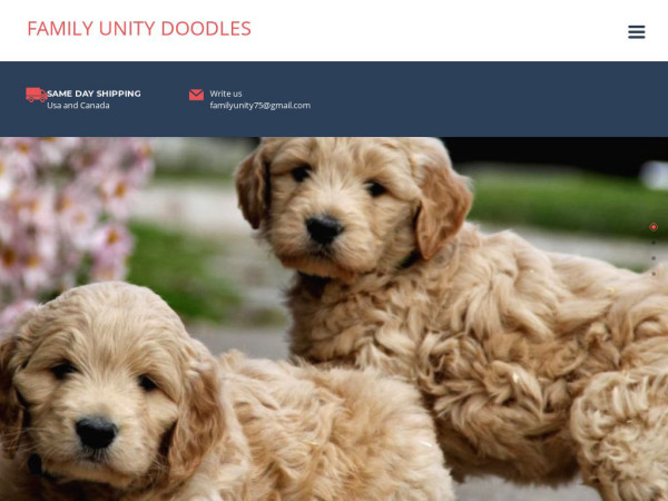 Familyunitydoodles.us - Schnauzer Puppy Scam Review