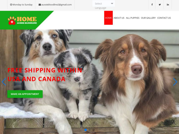 Favoritehybridcats.com - Australian Shepherd Puppy Scam Review