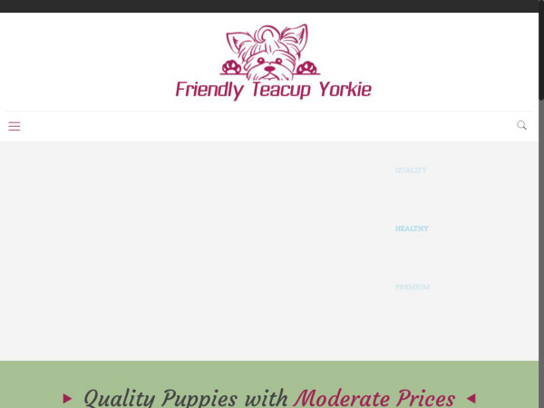 Friendlyteacupyorkiepuppies.com - Yorkshire Terrier Puppy Scam Review