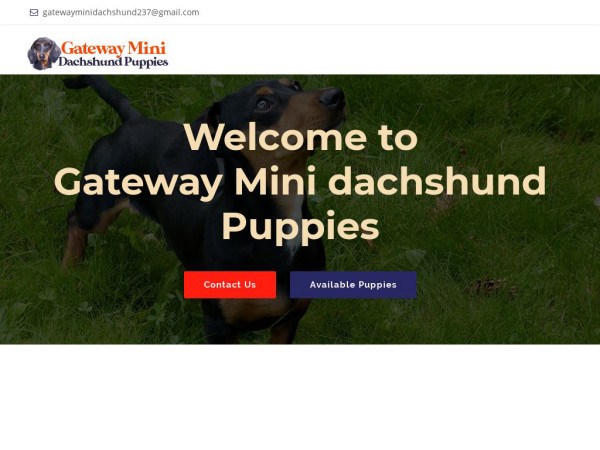 Gatewayminidachshundpuppies.com - Dachshund Puppy Scam Review