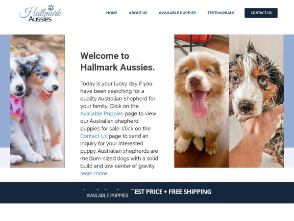 Hallmarkaussies01.com - Australian Shepherd Puppy Scam Review