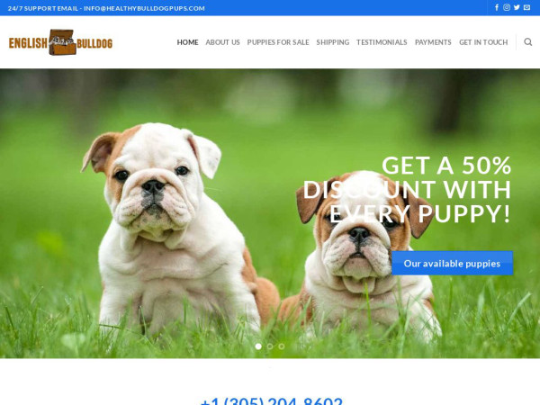 Healthybulldogpups.com - English Bulldog Puppy Scam Review