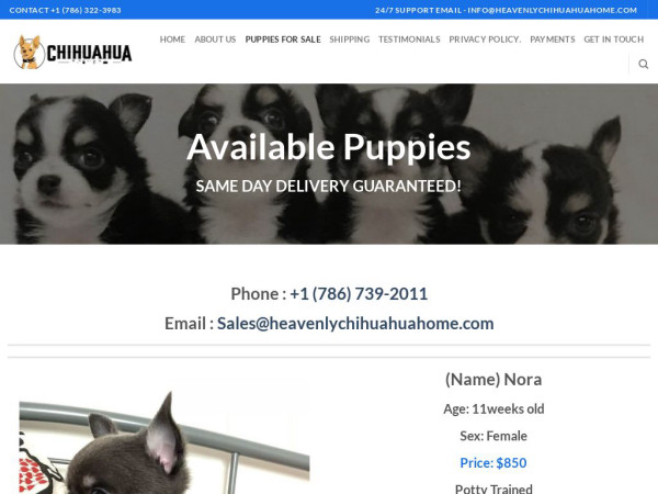 Heavenlychihuahuahome.com - Chihuahua Puppy Scam Review