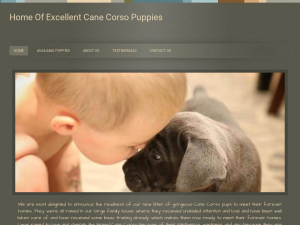 Homeofexcellentcanecorsopuppies.com - Cane Corso Puppy Scam Review