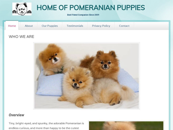 Homeofpomeranianpupps.com - Pomeranian Puppy Scam Review