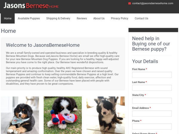 Jasonsbernesehome.com - Bernese Mountain Dog Puppy Scam Review