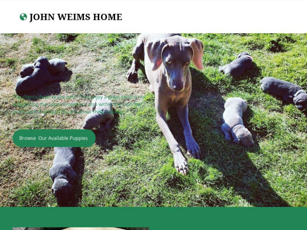 Johnweimshome.com - Weimaraner Puppy Scam Review