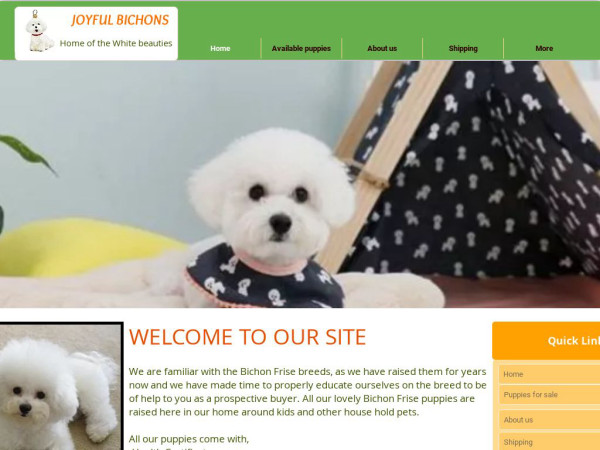 Joyfulbichonfrise.com - Bichon Frise Puppy Scam Review