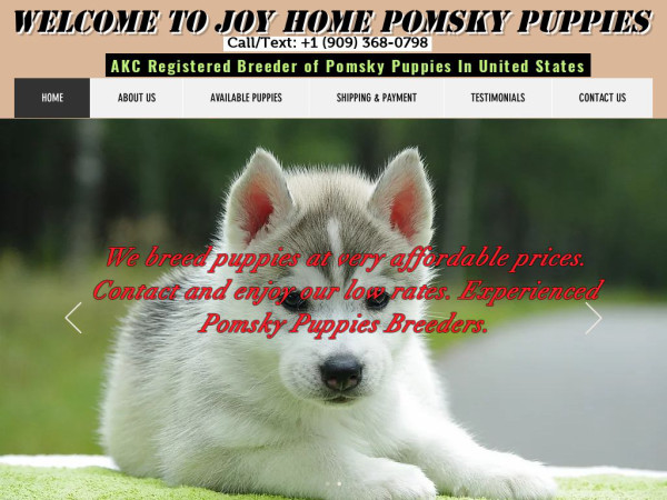 Joyhomepomskypuppies.com - Pomeranian Puppy Scam Review