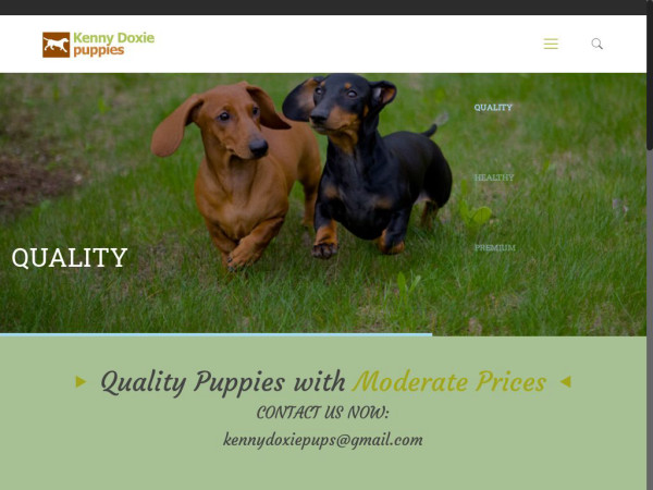 Kennydoxiepuppies.com - Dachshund Puppy Scam Review