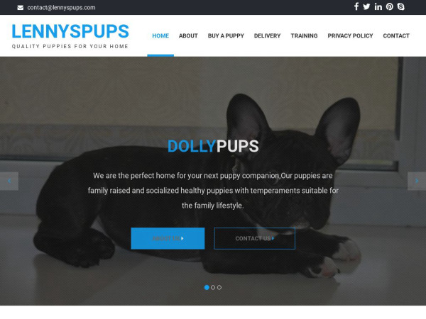 Lennyspups.com - French Bulldog Puppy Scam Review