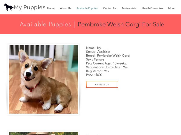 Lifehappymypuppy.com - Corgi Puppy Scam Review