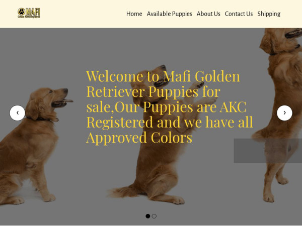 Mafigoldenretrievers.com - Golden Retriever Puppy Scam Review