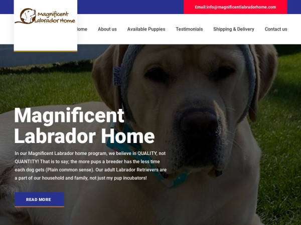 Magnificentlabradorhome.com - Labrador Puppy Scam Review