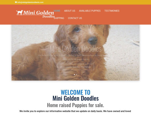 Minigoldendoodles4u.com - Golden Doodle Puppy Scam Review