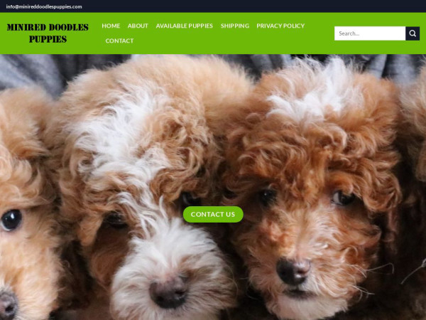 Minireddoodlespuppies.com - Golden Doodle Puppy Scam Review