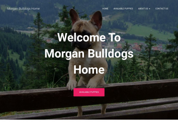 Morganbulldogshome.com - Bulldog Puppy Scam Review