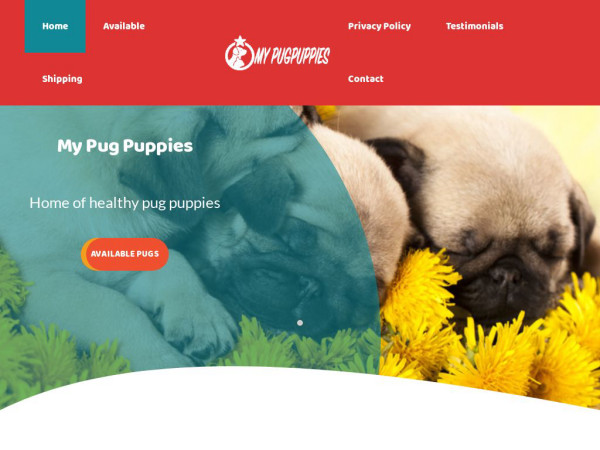 Mypugpuppies.com - Pug Puppy Scam Review