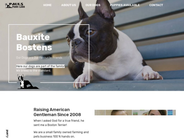 Pawesomedoggycrew.com - Boston Terrier Puppy Scam Review