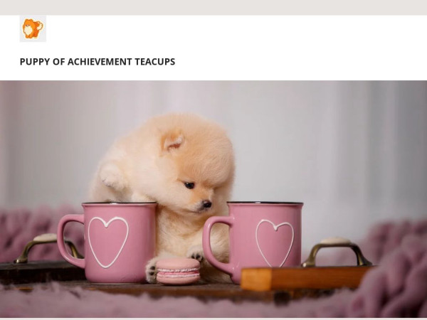 Puppyofachievement.com - Pomeranian Puppy Scam Review