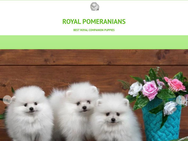 Royalpomeranianpups.com - Pomeranian Puppy Scam Review