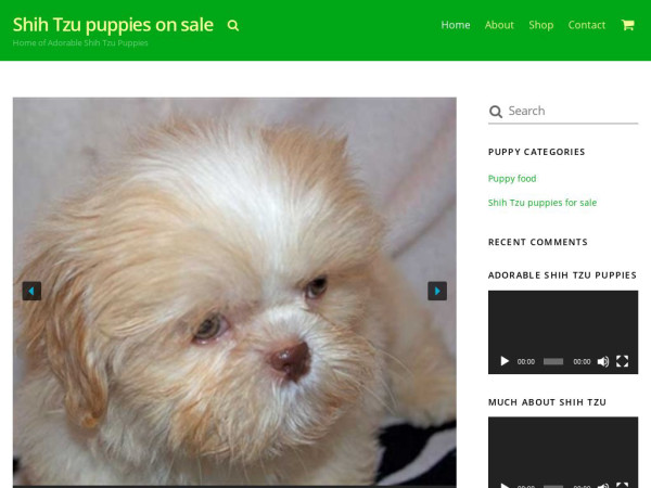 Shihtzupuppiesonsale.com - Shihtzu Puppy Scam Review