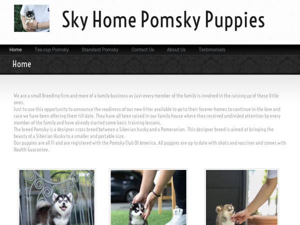 Skyhomepomskypuppies.com - Pomeranian Puppy Scam Review