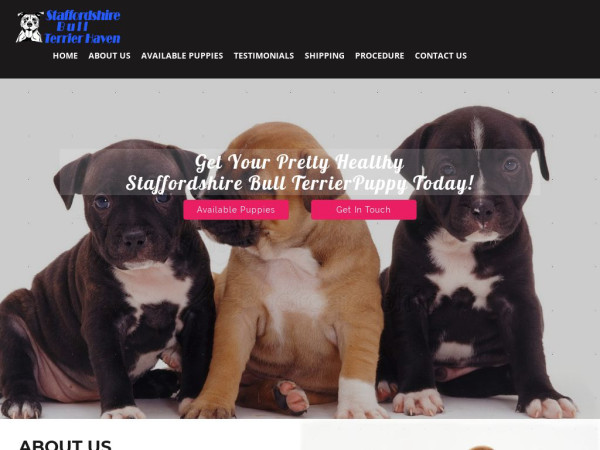 Staffordshirebullterrierhaven.com - Terrier Puppy Scam Review