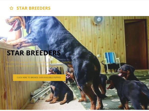 Starbreedershome.com - Rottweiler Puppy Scam Review