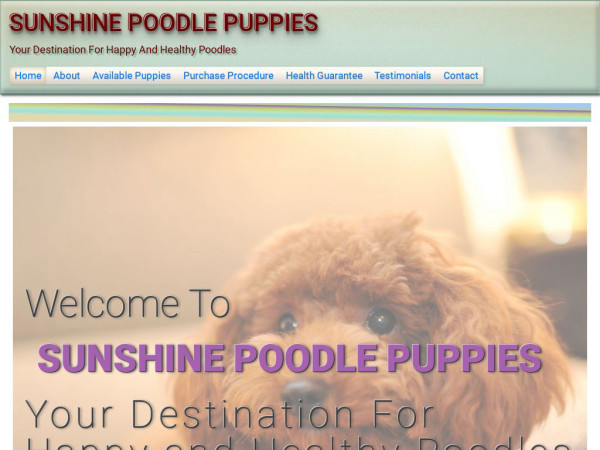 Sunshinepoodlepuppiess.com - Poodle Puppy Scam Review