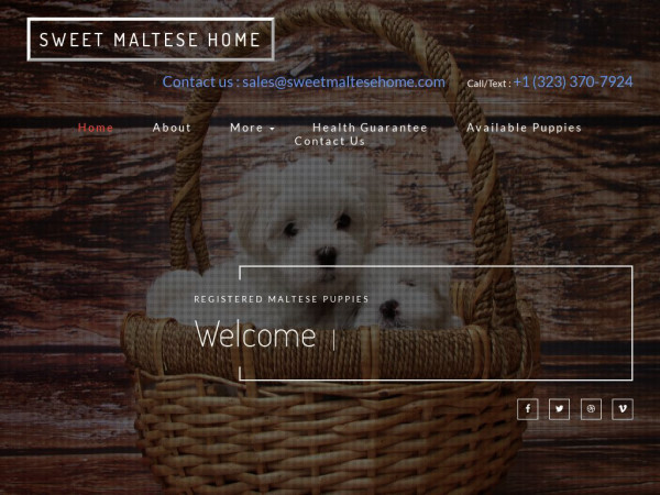 Sweetmaltesehome.com - Maltese Puppy Scam Review