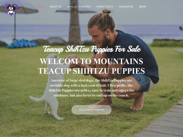 Teacupshihtzupuppies.com - Shihtzu Puppy Scam Review