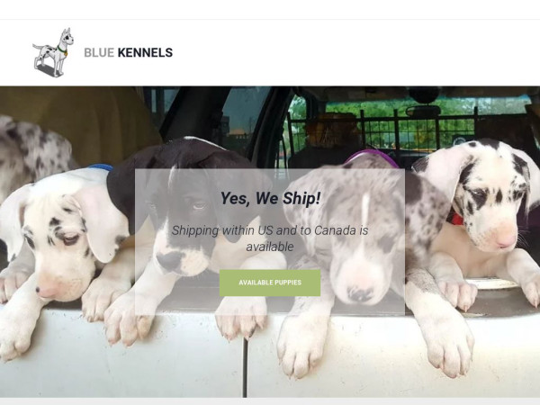 Thebluekennels.com - Great Dane Puppy Scam Review