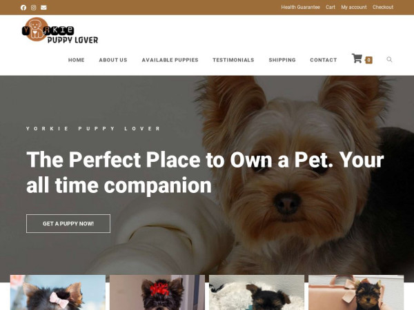 Yorkiepuppylover.com - Yorkshire Terrier Puppy Scam Review