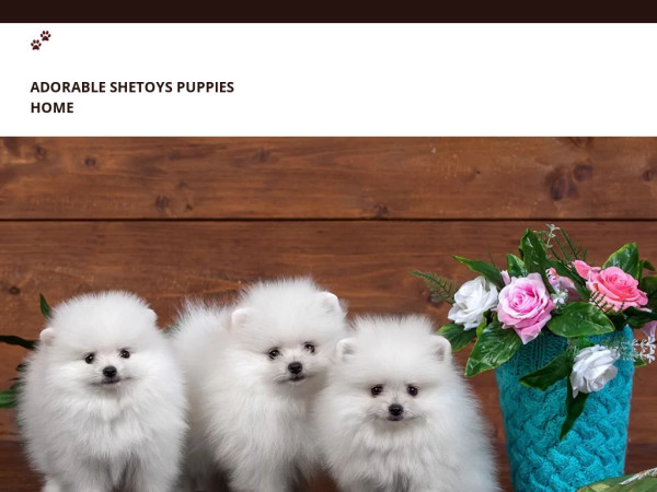 Adorableshetoyshome.com - Pomeranian Puppy Scam Review