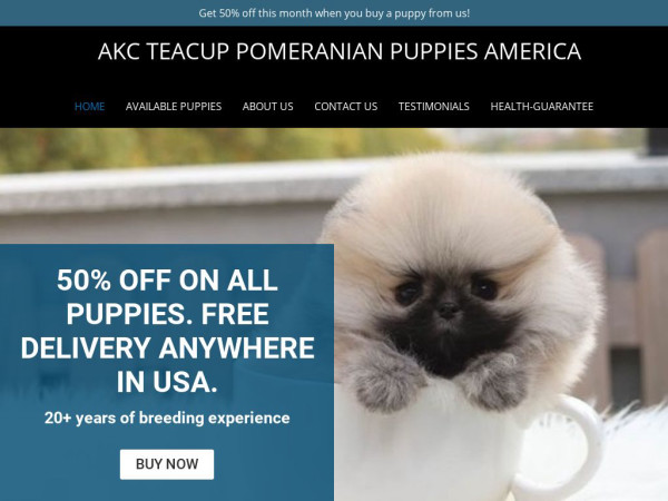 Akctcuppoms.dog - Pomeranian Puppy Scam Review