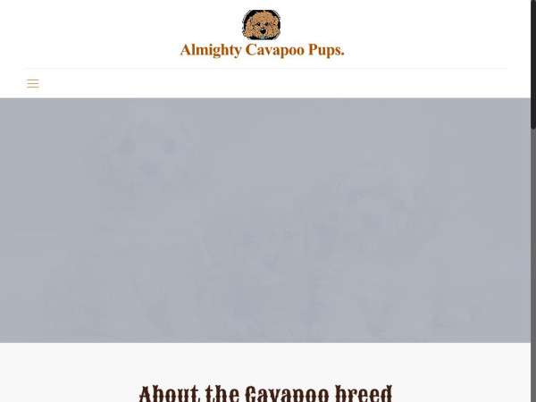 Almightycavapoopups.com - Cavapoo Puppy Scam Review