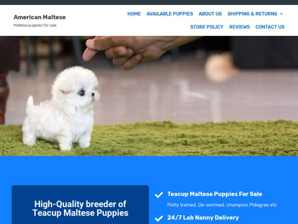 Americanamaltese.com - Maltese Puppy Scam Review