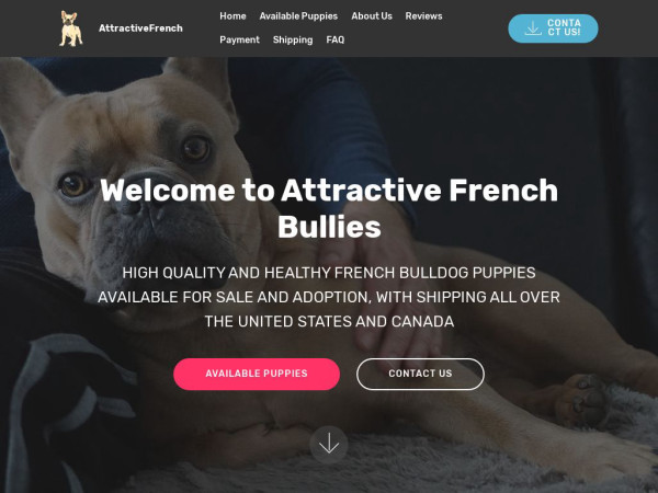 Attractivefrenchbullies.com - French Bulldog Puppy Scam Review