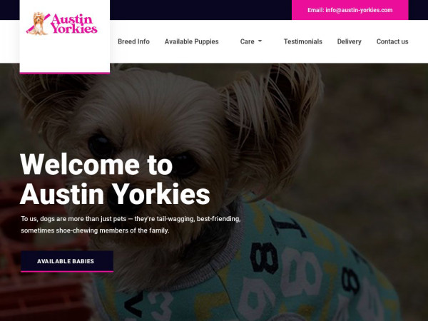 Austin-yorkies.com - Yorkshire Terrier Puppy Scam Review