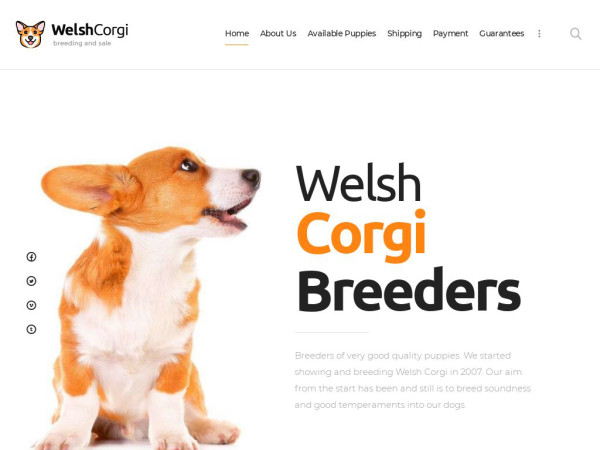 Babieswelshcorgikennel.com - Corgi Puppy Scam Review