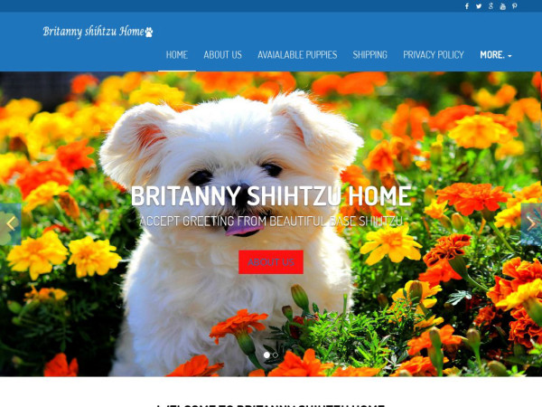 Britannyshihtzuhome.com - Shihtzu Puppy Scam Review