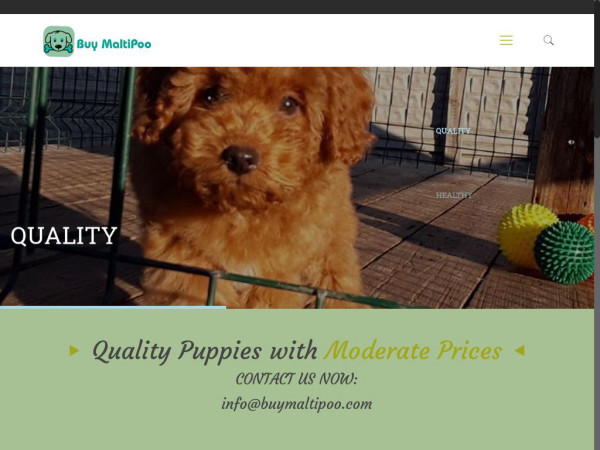 Buymaltipoo.com - Maltipoo Puppy Scam Review